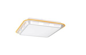 Quality Fluorescent Ceiling Lights FOR Residential Lighting Fixtures wholesale