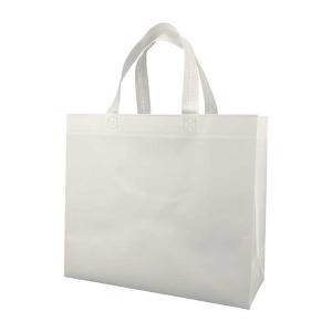 Quality Eco Friendly PP Non Woven Shopping Bags 125gsm Non Woven Shoe Bag wholesale