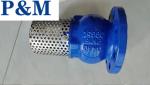 DN100 PN16 GGG50 cast iron flanged foot valve
