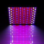 Hydroponic Indoor Plant Grow Light