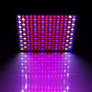 Quality Hydroponic Indoor Plant Grow Light wholesale