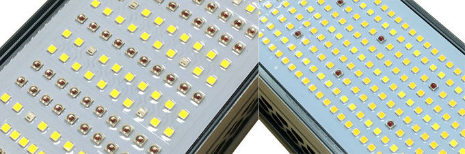 640W Red Greenhouse LED Grow Lights Customized Full Spectrum 660nm
