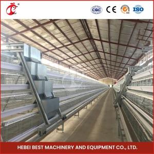 Quality Automatic Chicken Cage Equipment A Frame 4 Tier Layer Cage System Doris Shi wholesale
