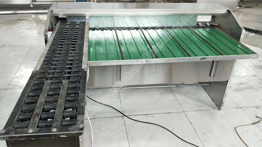 Egg Size Sorting Machine Egg Sorter Machine Automatic Egg Grading Machine