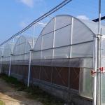Polyethylene Film Multi Span Greenhouse Agricultural Commercial Industrial