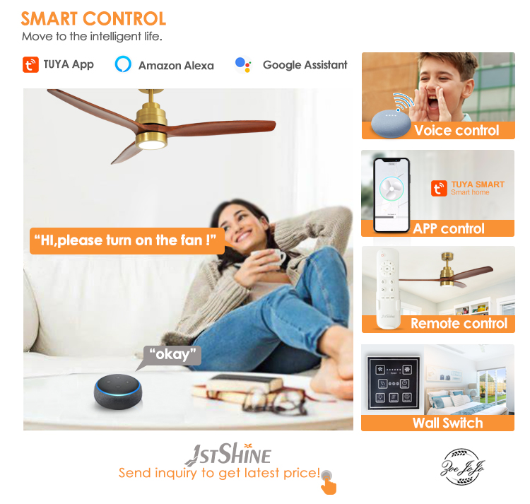 ceiling fan