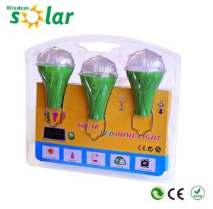 Quality Economy competitive solar home lighting system with 3 LED bulbs for Lighting Africa wholesale