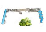 CE Certified Stainless Steel Commercial Vegetable Washer Washing Line Vegetable