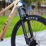 Aluminum Alloy Fork 29 Inch Mountain Bike with Hydraulic Disc Brake and Front