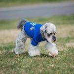 100% Cotton Dog'S Clothes Various Colors Optional