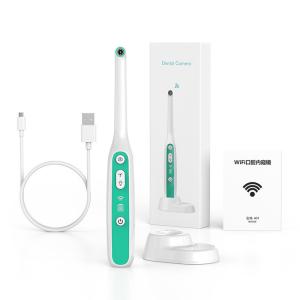 Quality Portable Wifi Wireless Dental Intraoral Camera for Tooth Stains Care and Visual Oral Examination Shelf Life 3 years wholesale