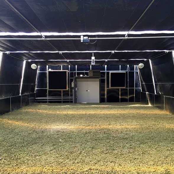 Automatic Polycarbonate Metal Frame Agriculture Greenhouse Blackout For Mushroom Growing