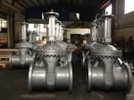 Corrosion Resistant API Standard Flexible Wedge Gate Valve