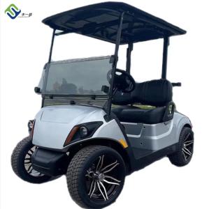 Quality New 2 Seater Electric LSV Golf Cart For Beach Color Customized wholesale