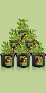 Covered grow bag