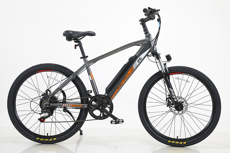 OEM ODM 6 Speed Electric Bicycle With Customized Design And Aluminum Alloy Frame