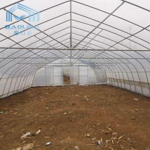 Quality Snow Resistant Large Pointed Roof Tunnel Plastic Greenhouse No Soldering wholesale