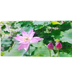 Quality SDK RGB Outdoor Waterproof LED Screen , Practical Outdoor Digital Advertising Board wholesale