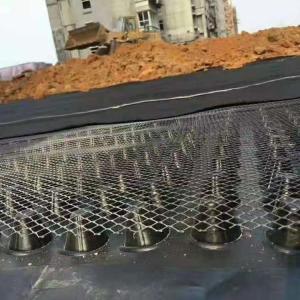 Quality Driveway Drainage Made in Plastic Drainage Board for Greening Municipal Construction wholesale