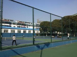 Quality Galvanized Chain Link Fence, Iron Wire Football Field Fence wholesale