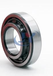 Double Row Self Aligning Radial Ball Bearing NF203ETN1 Open Ball Bearing Normal