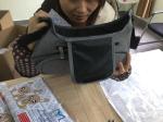 AQL Third Party Inspection Stroller Bag / Fabric Bags Quality Inspection