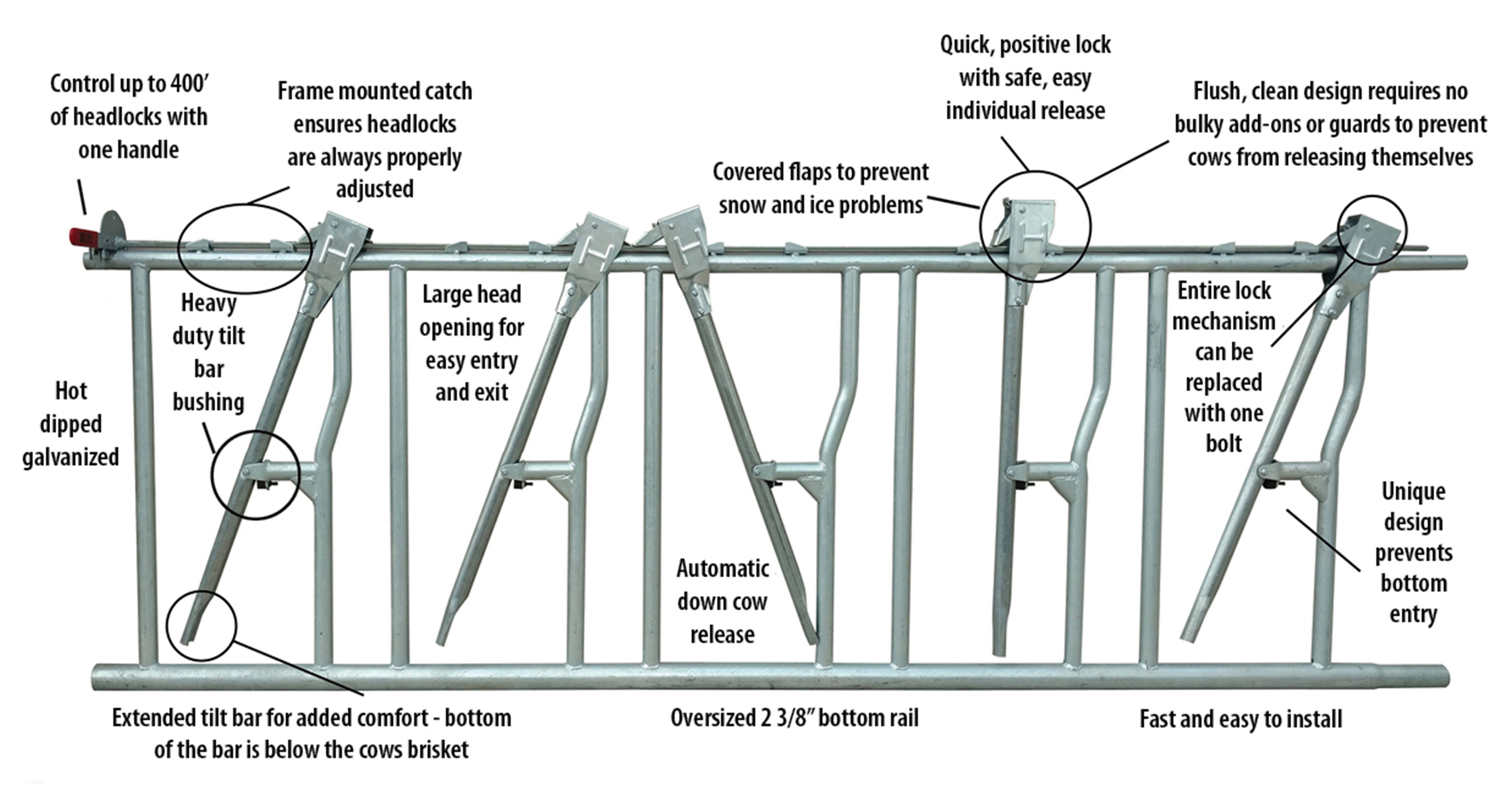 Aluminum Alloy Window and Q345 Prefab Steel Cow Farm Building for Dairy Cow House