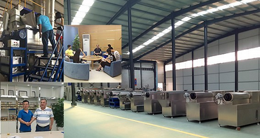 Delta Or Customized Pet Food Processing Machine for Dog Cat Used Animal Feed Maker Machine
