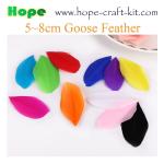 Various size of goose feathers, turkey feathers, chicken feathers, peacock ,