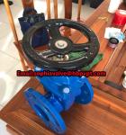 GGG50 resilient seal BS gate valve