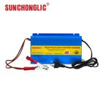 40A 12 Volt Gel Battery Charger Intput AC 220V 50Hz Lightweight And Compact