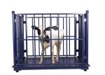 3000KG ODM Cattle Weighing Scales Carbon Steel