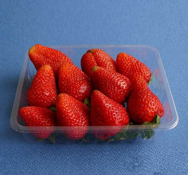 Plastic Folding Box for Fruits