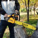 Promotion 58CC Steel Chain Saw 20 Inch China Gasoline Chainsaw