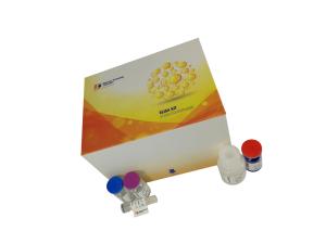 Quality Strong Specificity Mouse Vegf Elisa Kit 96 Wells / 48 Wells 2 - 8°c For Storage wholesale