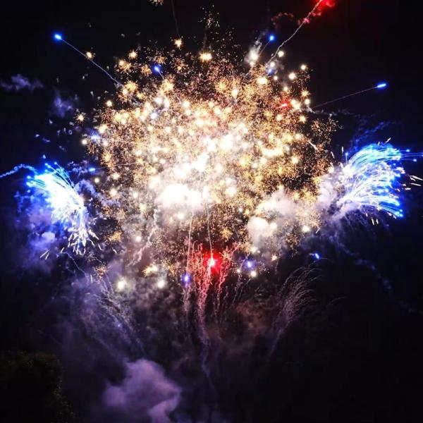 Liuyang Mandarin 200 Shots Cake Fireworks Outdoor 1.4 Pro Cake Pyrotechnics New