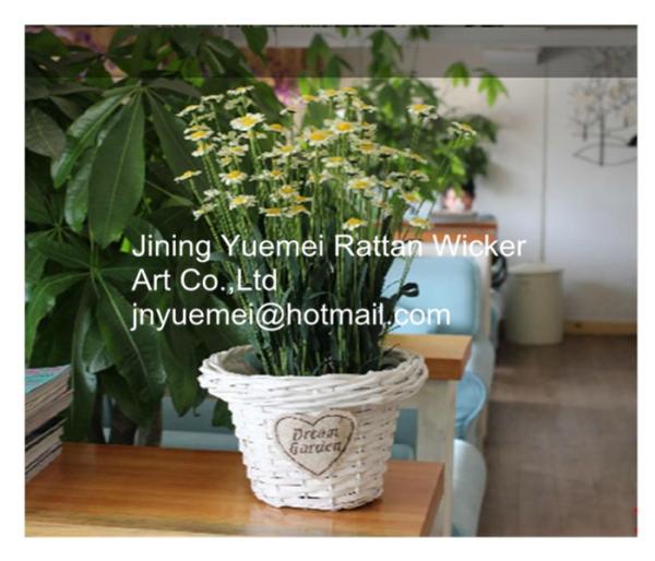 2016 new style wicker garden baskets round shape willow plant baskets white