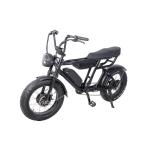 Retro Ebike Cruiser Dual Battery Enduro 7 Speed 48V 1000W Electric Fat Tire Bike