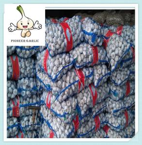 Quality Jining Shandong Pure White Fresh Garlic, Jining Natural Garlic wholesale