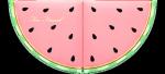 Reusable 11 Wells Watermelon Slice Cosmetic Eyeshadow Palette