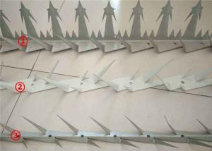 Quality Anti - Climb Razor Wall Security Spikes , Garden Fence Security Spikes wholesale