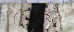 Fashion Brushed White Lace Fabric Flower Shape , Stretchable 135cm Width CY