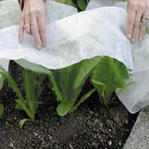 Quality Landscape 20gsm Non Woven Plastic Mulching Film wholesale