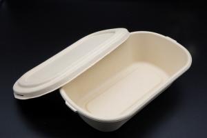 Quality Bento Biodegradable Disposable Dinnerware Salad Compostable Takeaway Container wholesale