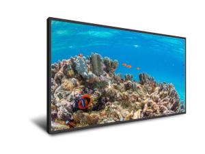 Quality OEM 86'' TFT LCD Digital Signage Displays 1100W Window Menu Poster wholesale