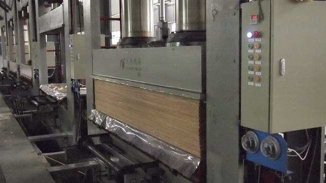 Engineered Custom Wood Veneer Panels Irregular Texture For Decoration ISO