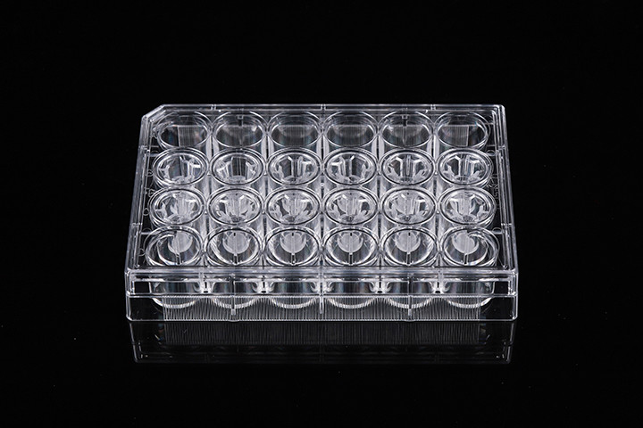 Laboratory Experiment Well Volume 2.6ml Cell Insert