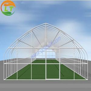 Quality Film Covered Galvanized Greenhouse for Stable Structure and Vegetable Cultivation wholesale