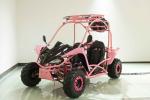 150cc Off-Road Go Kart, Single cylinder, forced air cooled, overhead camshaft