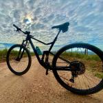 No Foldable Complete Mountain Bikes 11Speed 29er Disc Brake Carbon Fiber MTB